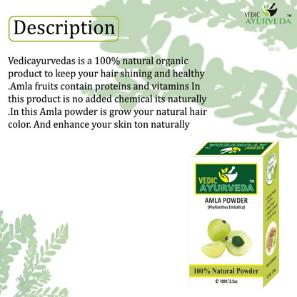 VedicAyurveda Amla Powder
