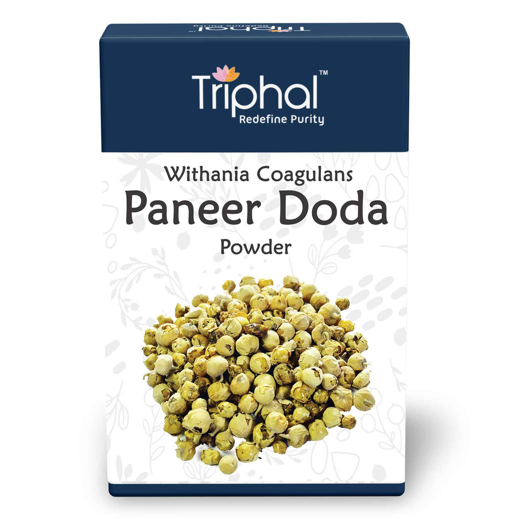Triphal Paneer Doda Powder - Panir Phool Churn - Paner Dodi