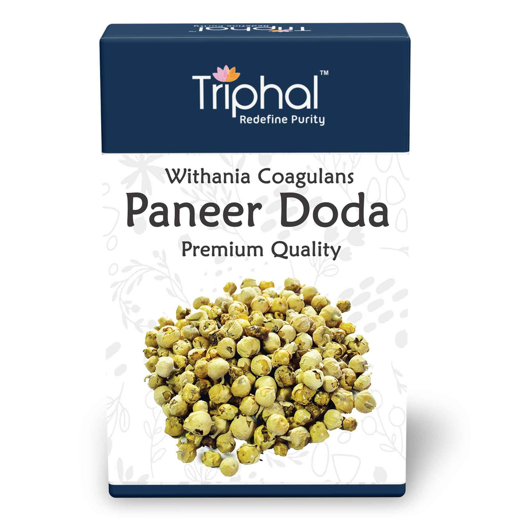 Triphal Paneer Doda - Panir Phool - Paner Dodi