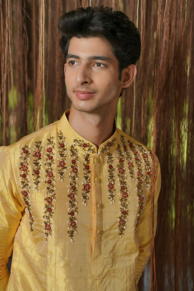 Gold Machine Kanjivaram Embroidered Pattu Set by Hilo Design