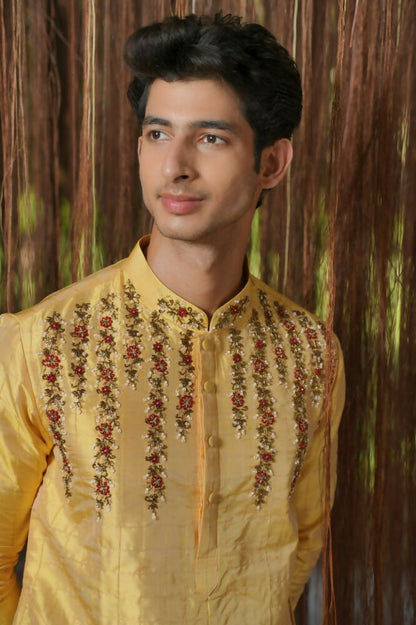 Gold Machine Kanjivaram Embroidered Pattu Set by Hilo Design