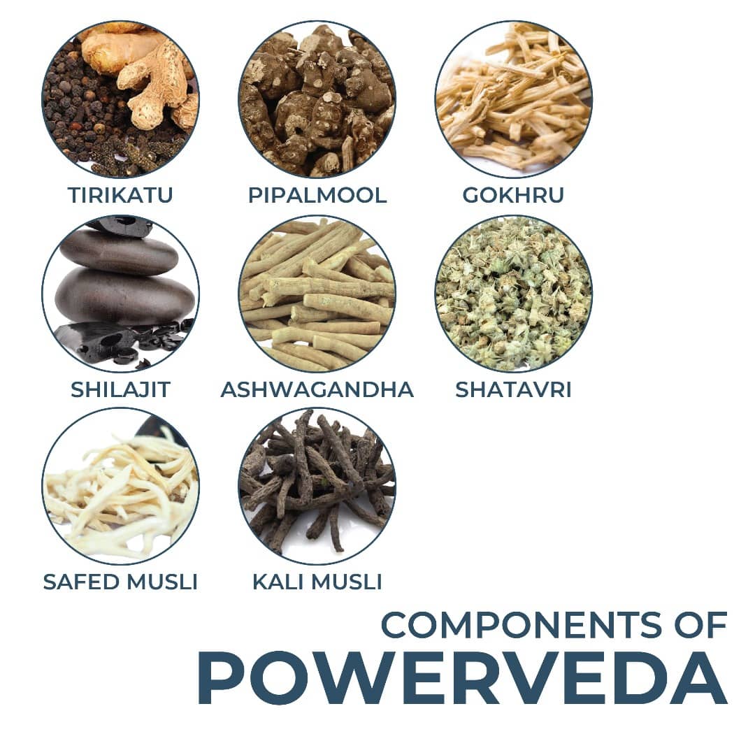 Saptamveda Powerveda - 60 tabs