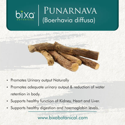 Bixa Botanical Punarnava Root Powder  Boerhavia diffusa - 200 gms