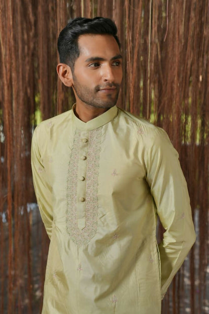 Olive Kanjivaram Machien Embroidered Pattu Set by Hilo Design