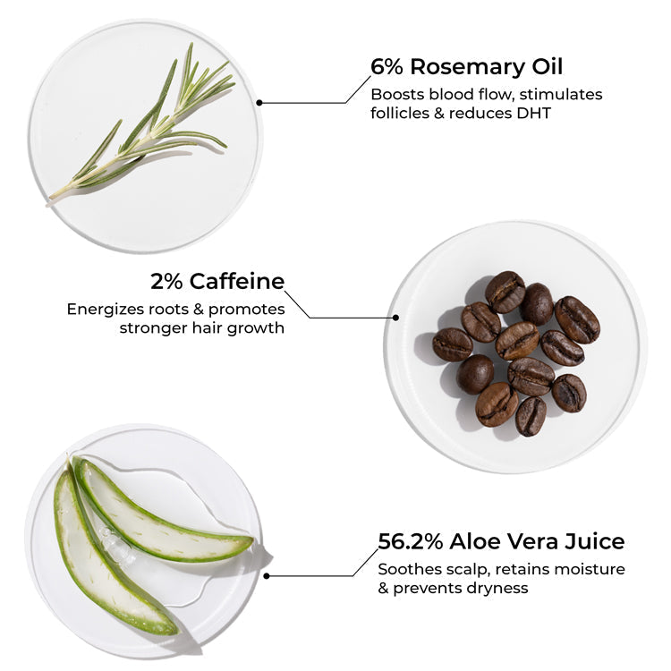 Brillare Rosemary Shampoo for Visible Hair Growth - 200 ml