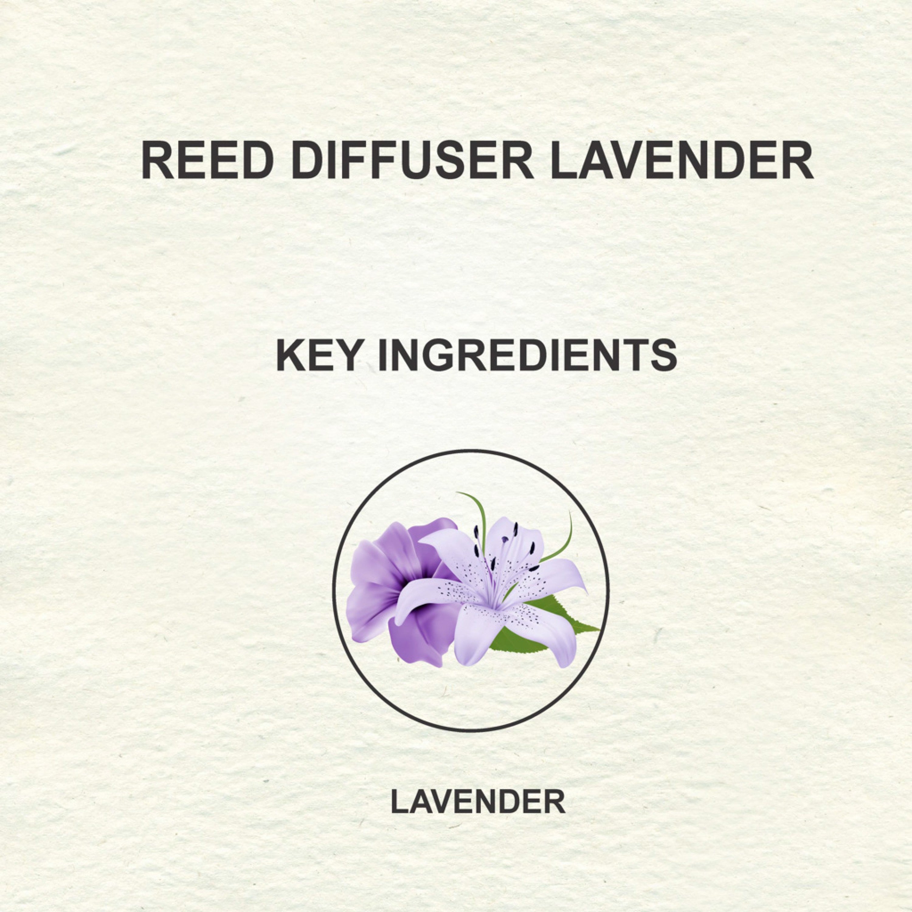 Love Earth Reed Diffuser- Lavender - 30 ml