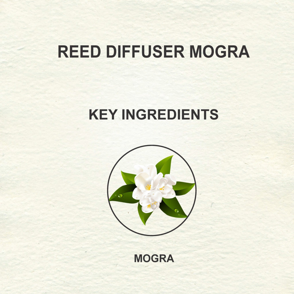 Love Earth Reed Diffuser- Mogra - 30 ml