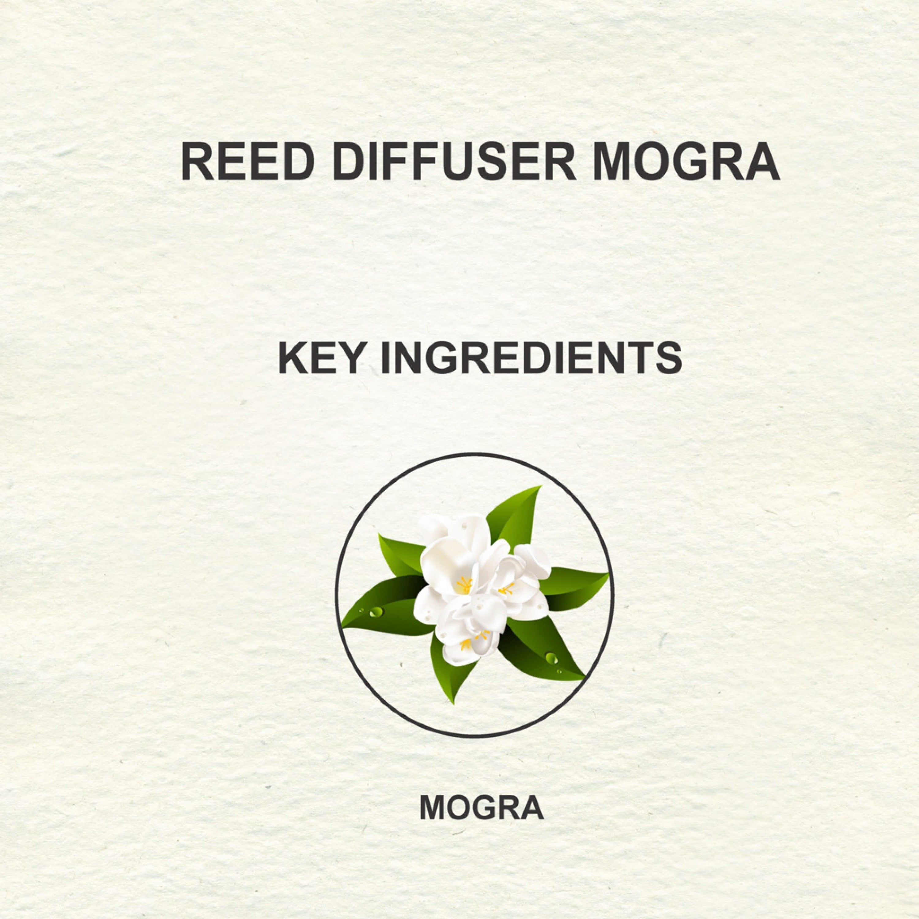 Love Earth Reed Diffuser- Mogra - 30 ml
