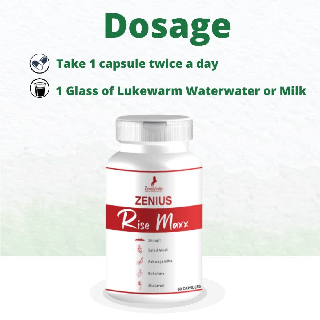 Zenius India Rise Maxx Capsule - 60 Caps