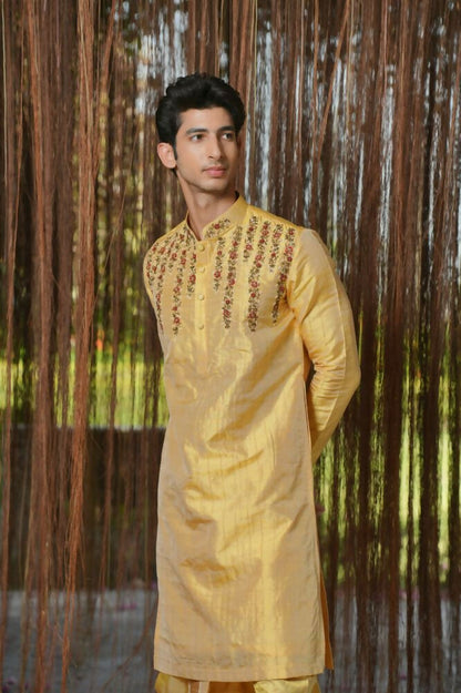 Gold Machine Kanjivaram Embroidered Pattu Set by Hilo Design