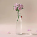 Flip Top Bottle Glass Bottle | Set of 3