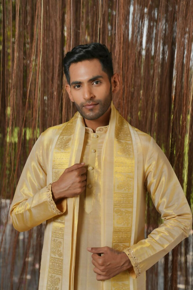 Gold Tissue Kanjivaram Machien Embroidered Pattu Set by Hilo Design