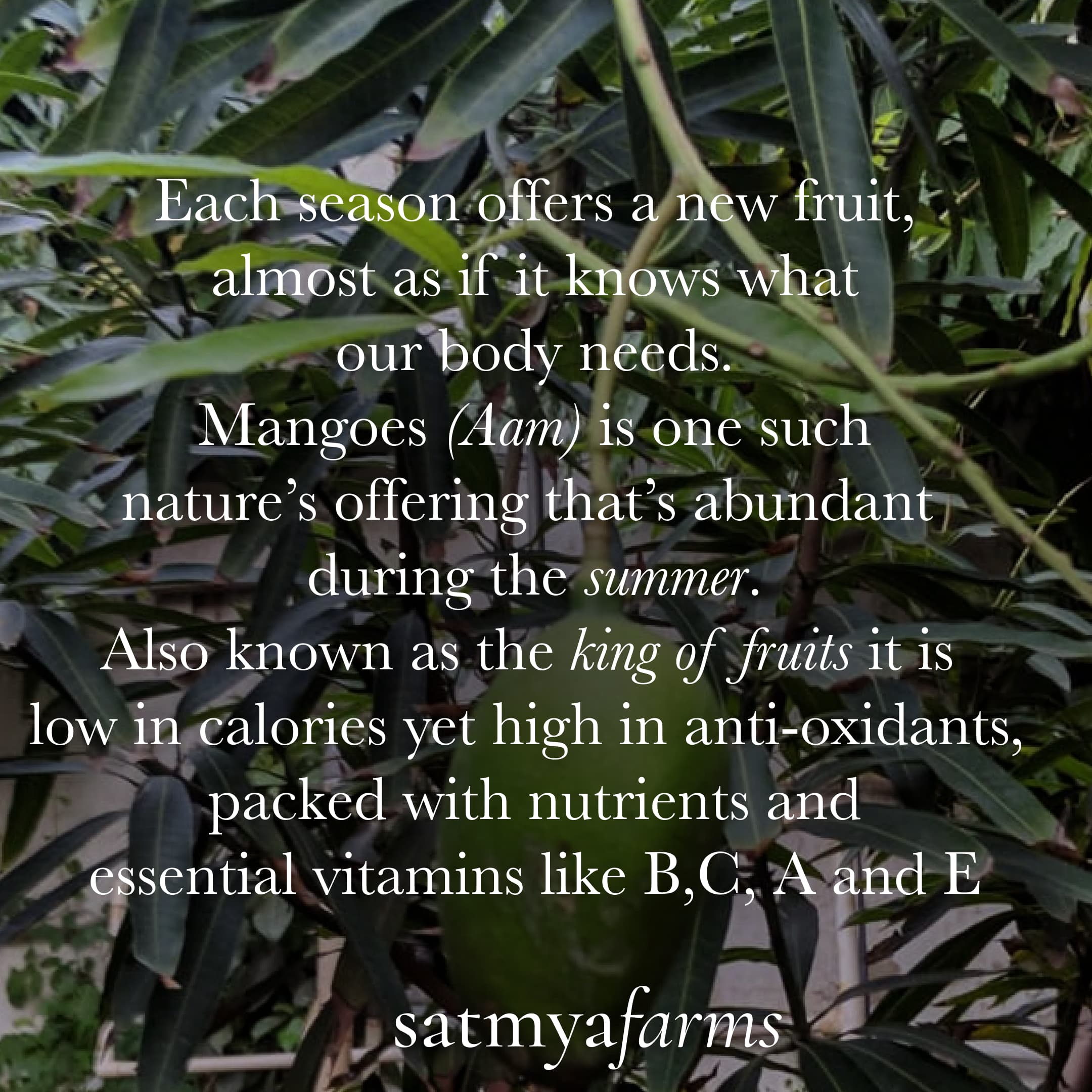 Satmya Raw Mango Relish - 250 gms