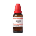 Dr. Willmar Schwabe India Mandragora Officinarum Dilution - 30 ml