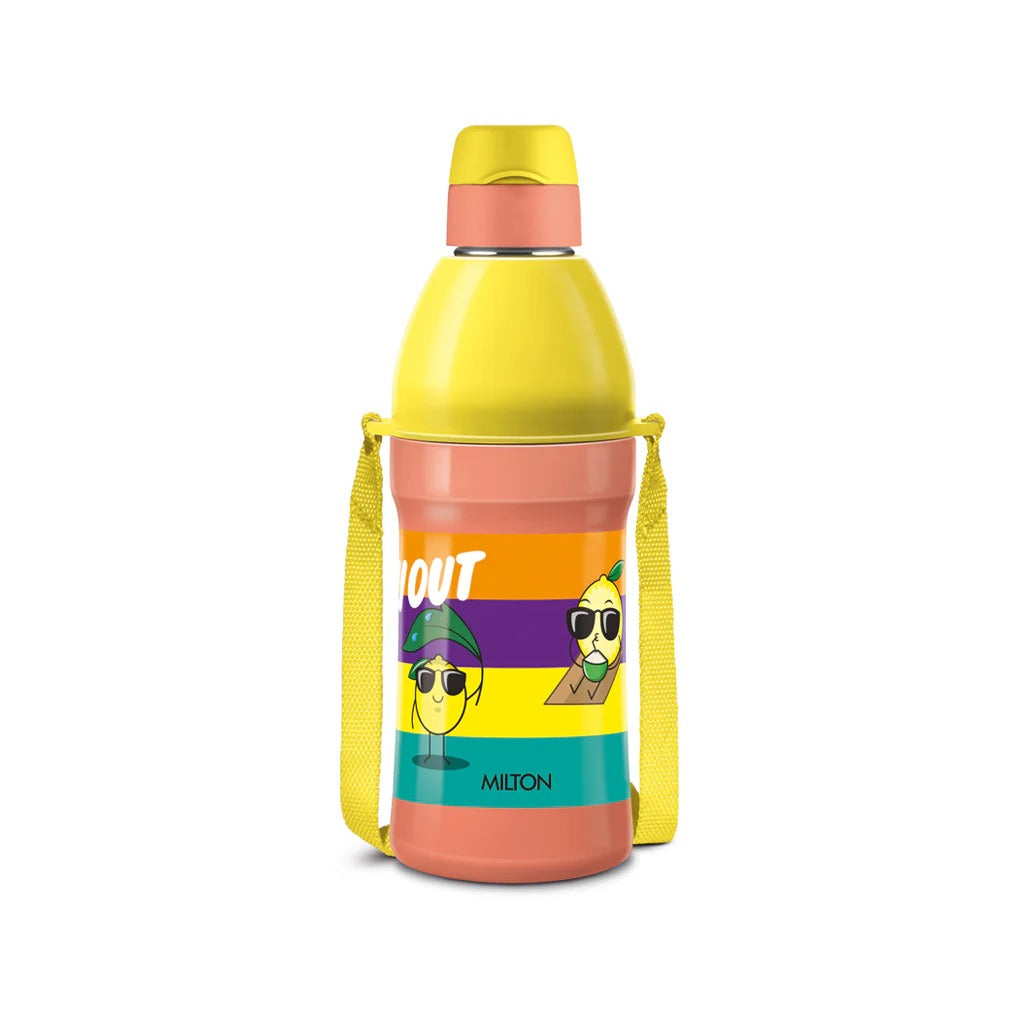 Milton Steel Benny Bottle 650ml