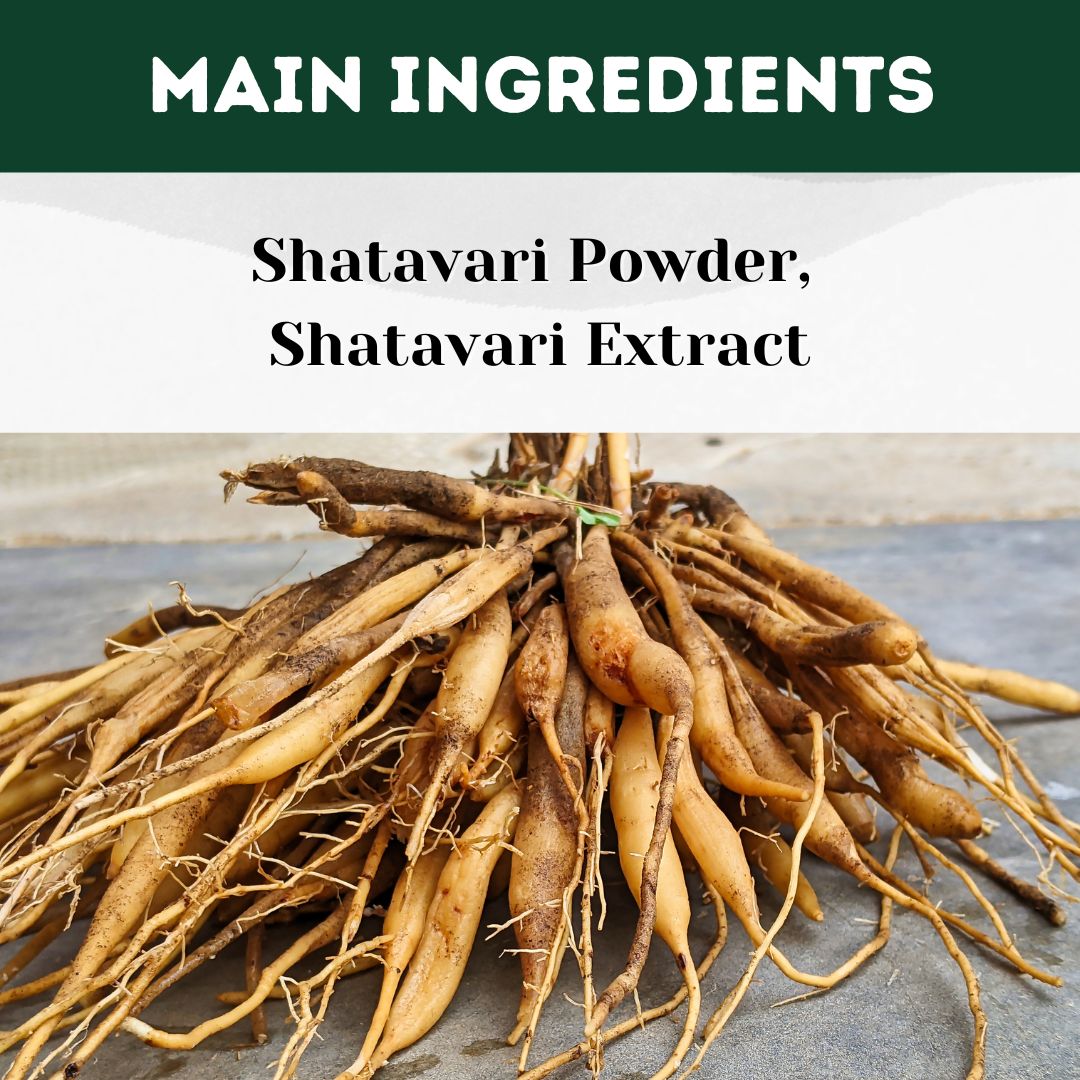 Herbal Hills Ayurveda Shatavarihills Capsules