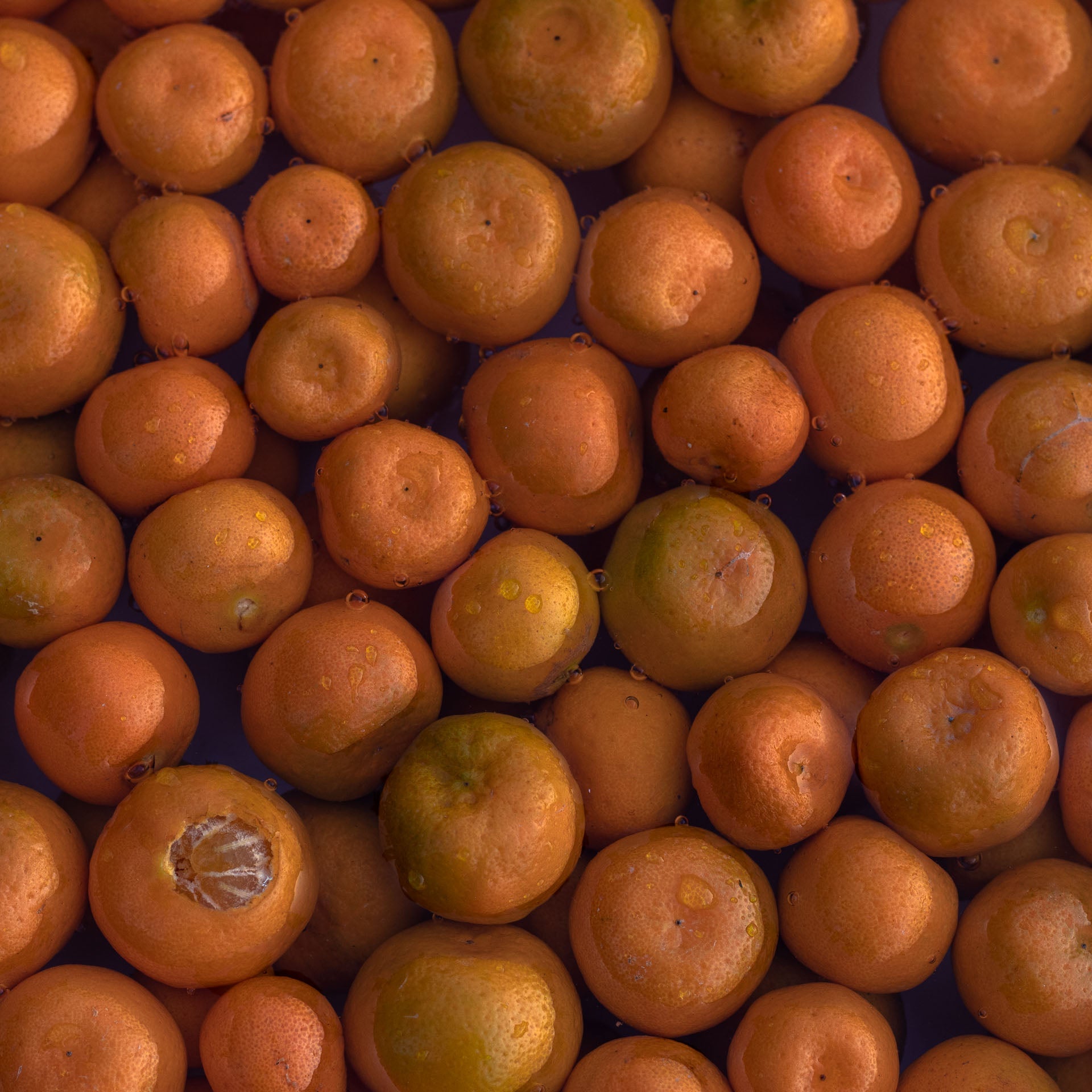 Satmya Tangerine Marmalade - 250 gms