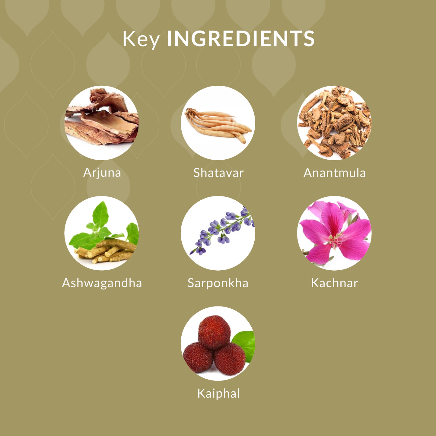 Matsyaveda Ayurvedic Herbal Wellness Capsules
