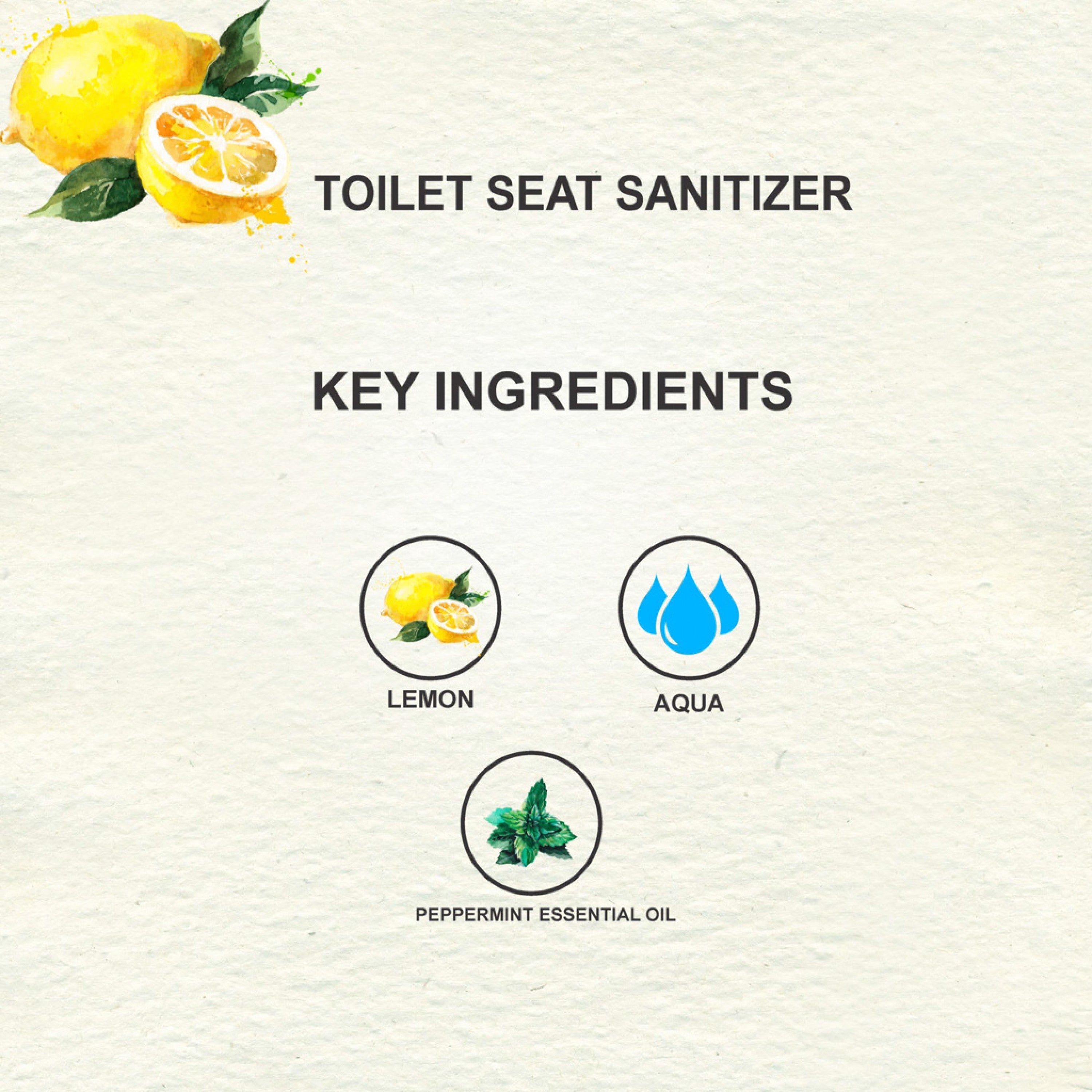 Love Earth Toilet Seat Sanitizer with Peppermint - 100 ml