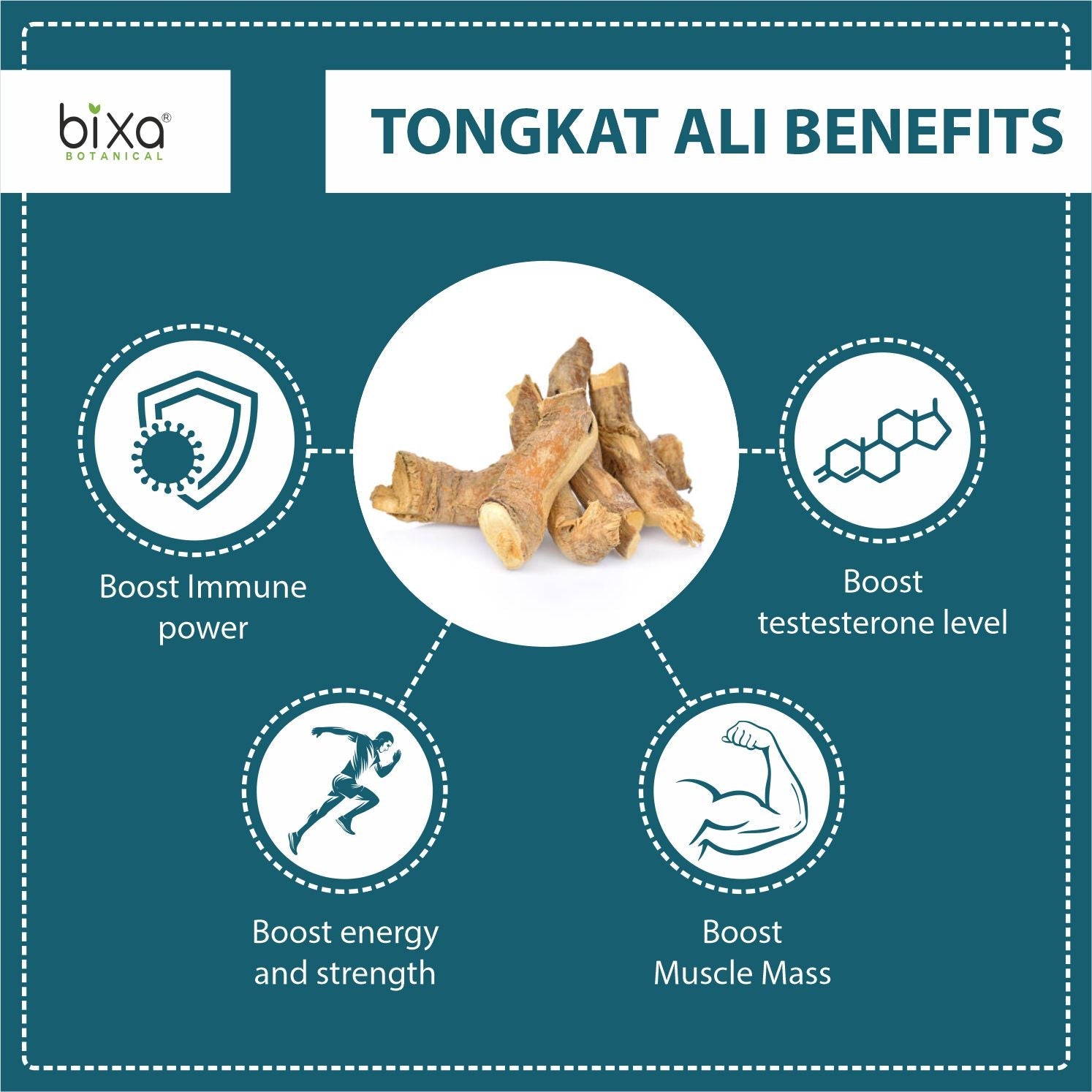 Bixa Botanical For Strength and Muscles - Ashwagandha + Tongkat Ali Powder - Combo