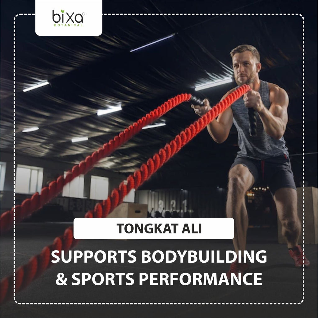 Bixa Botanical For Strength and Muscles - Ashwagandha + Tongkat Ali Powder - Combo