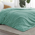 Homekart Pencil Pattern Flannel Fleece Sherpa Blanket Soft Plush Fluffy Season AC and Mild Winter Reversible Blanket Single Bed Mint Green