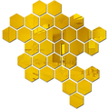 Bikri Kendra 31 Hexagon with 20 Butterfly Golden Mirror Stickers for Wall Mirror