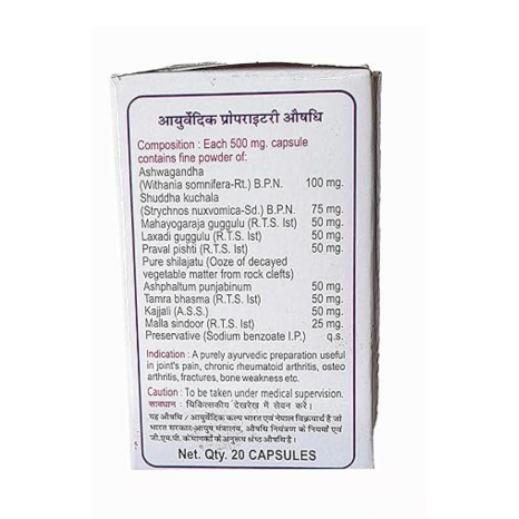 Maharshibadri Herbal Support Capsules – 20 caps