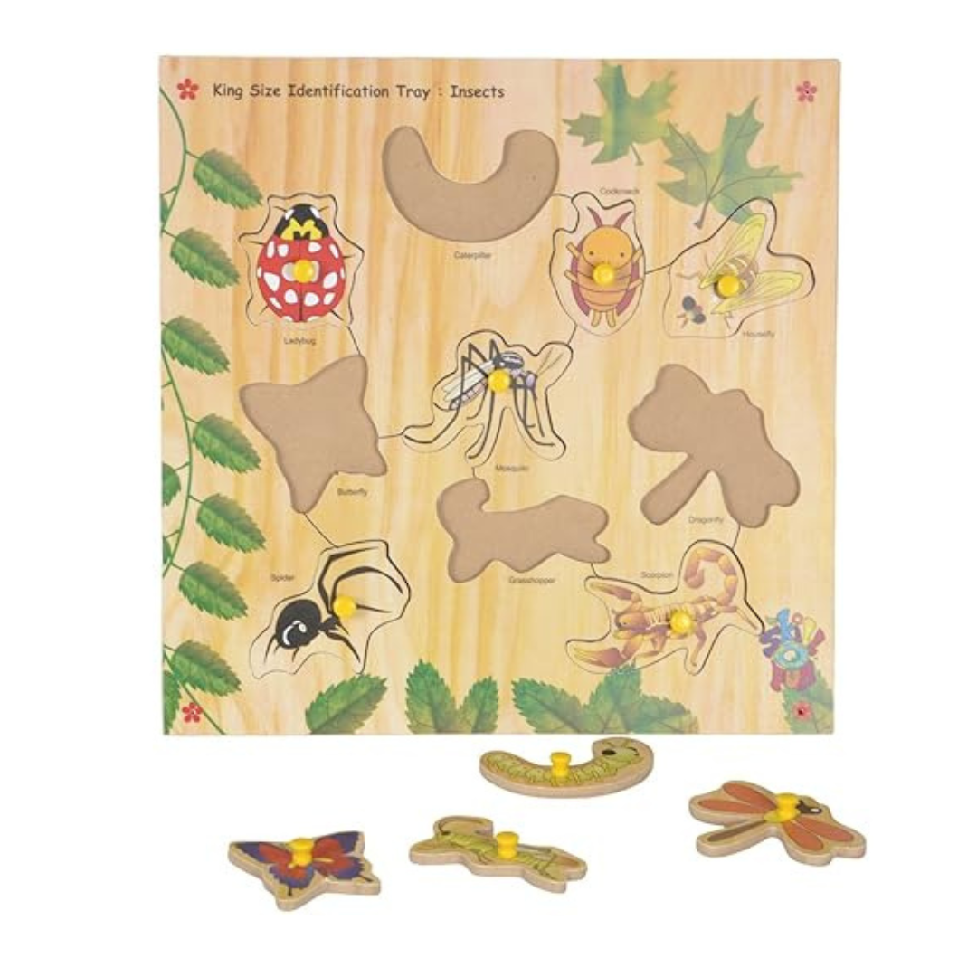 Skillofun SFS-44J Wooden Kingsize Identification Tray Insects with Knobs Multi Color