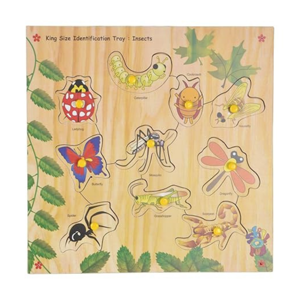Skillofun SFS-44J Wooden Kingsize Identification Tray Insects with Knobs Multi Color