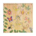 Skillofun SFS-44J Wooden Kingsize Identification Tray Insects with Knobs Multi Color