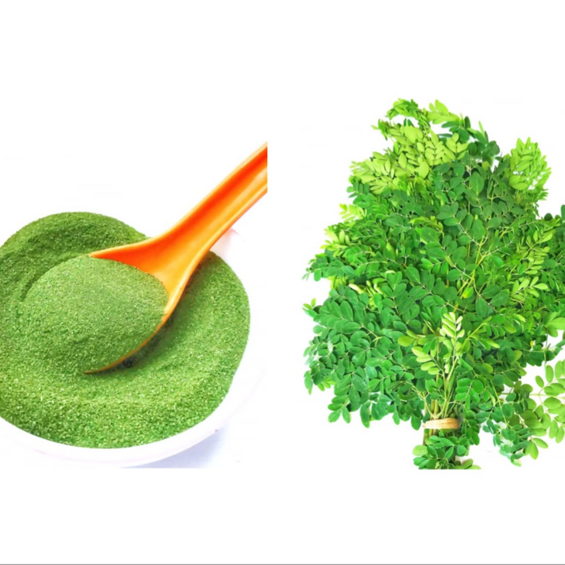 Village-Organica Moringa Powder