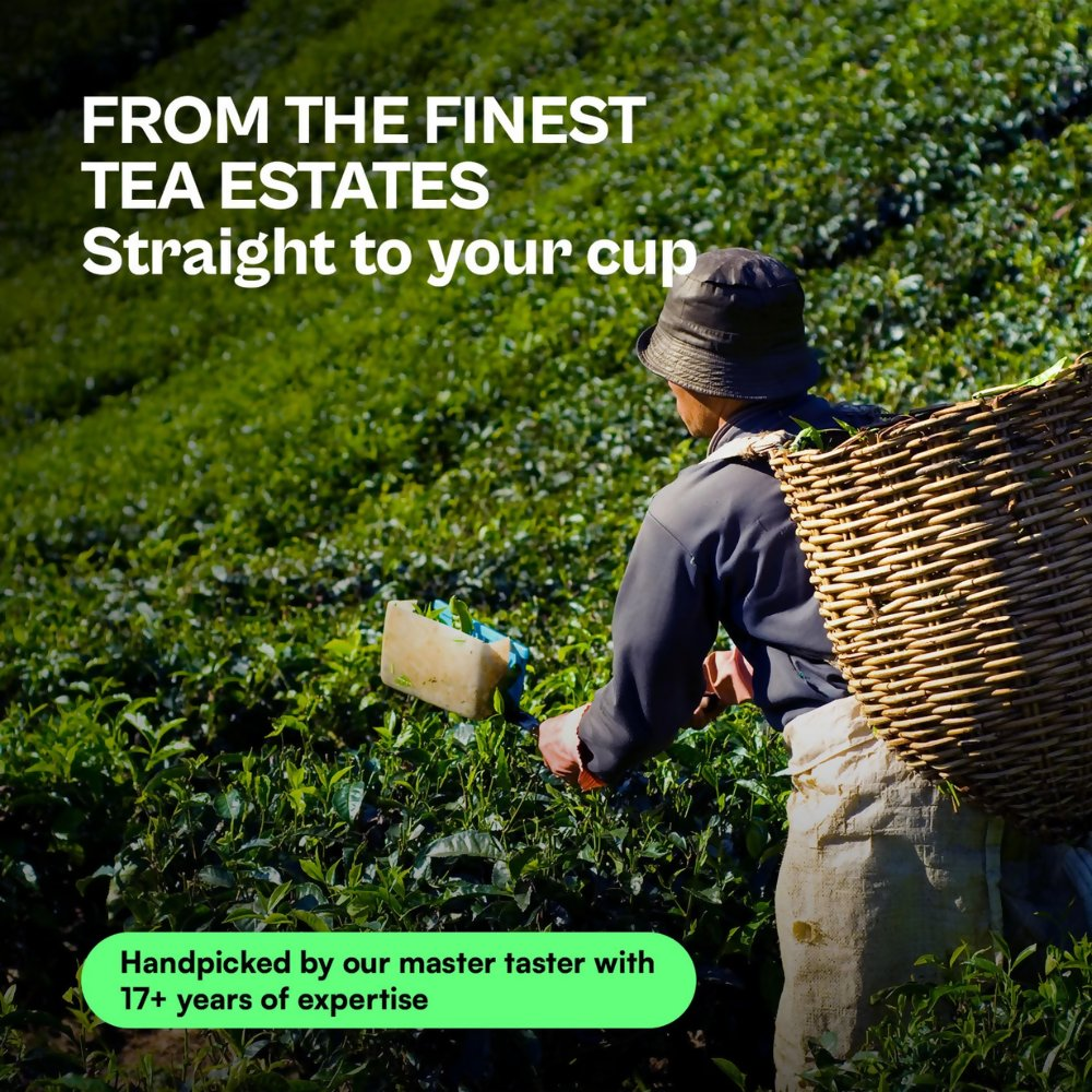 Udyan Tea Himalayan Mist Green Tea