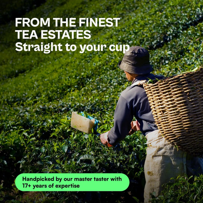 Udyan Tea Himalayan Mist Green Tea