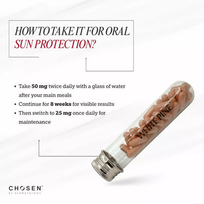 Chosen White Pine Pycnogenol Capsules for Internal Photo Protector And Pigmentation Fighter