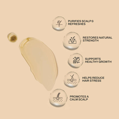 Ashpveda Ayurvedic Japapatti & Brahmi Hair Wash Shampoo