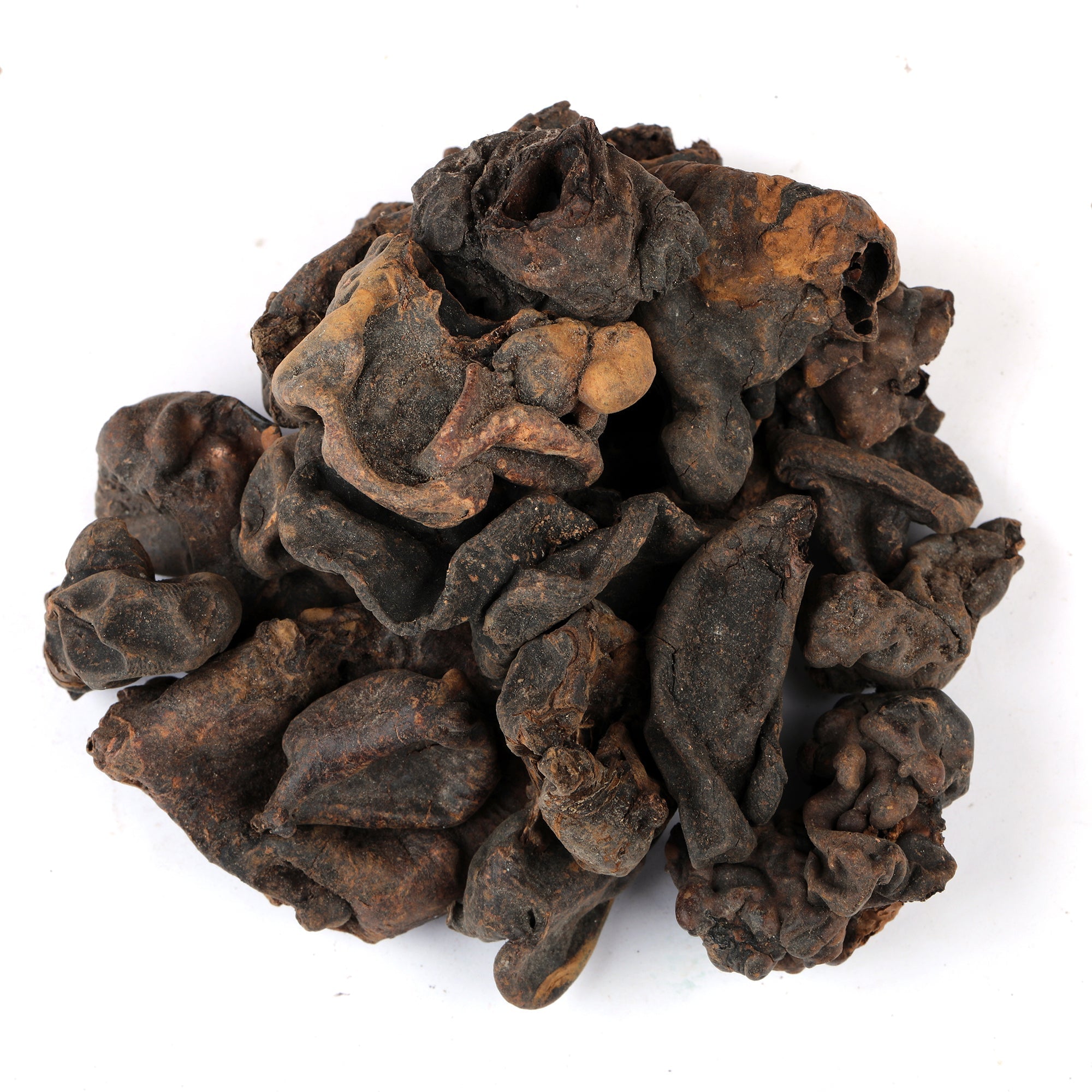 Yuvika Mochras - Phool Supari Kali - Bombax Ceiba - Red Silk Cotton Tree Gum