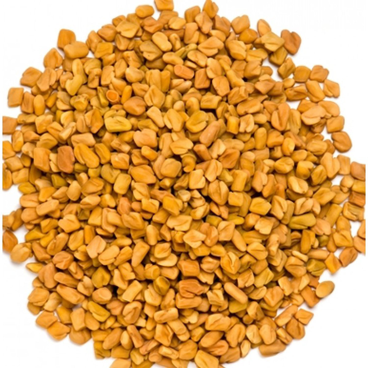 Yuvika Methi Dana - Trigonella Foenum Graecum - Fenugreek Seeds
