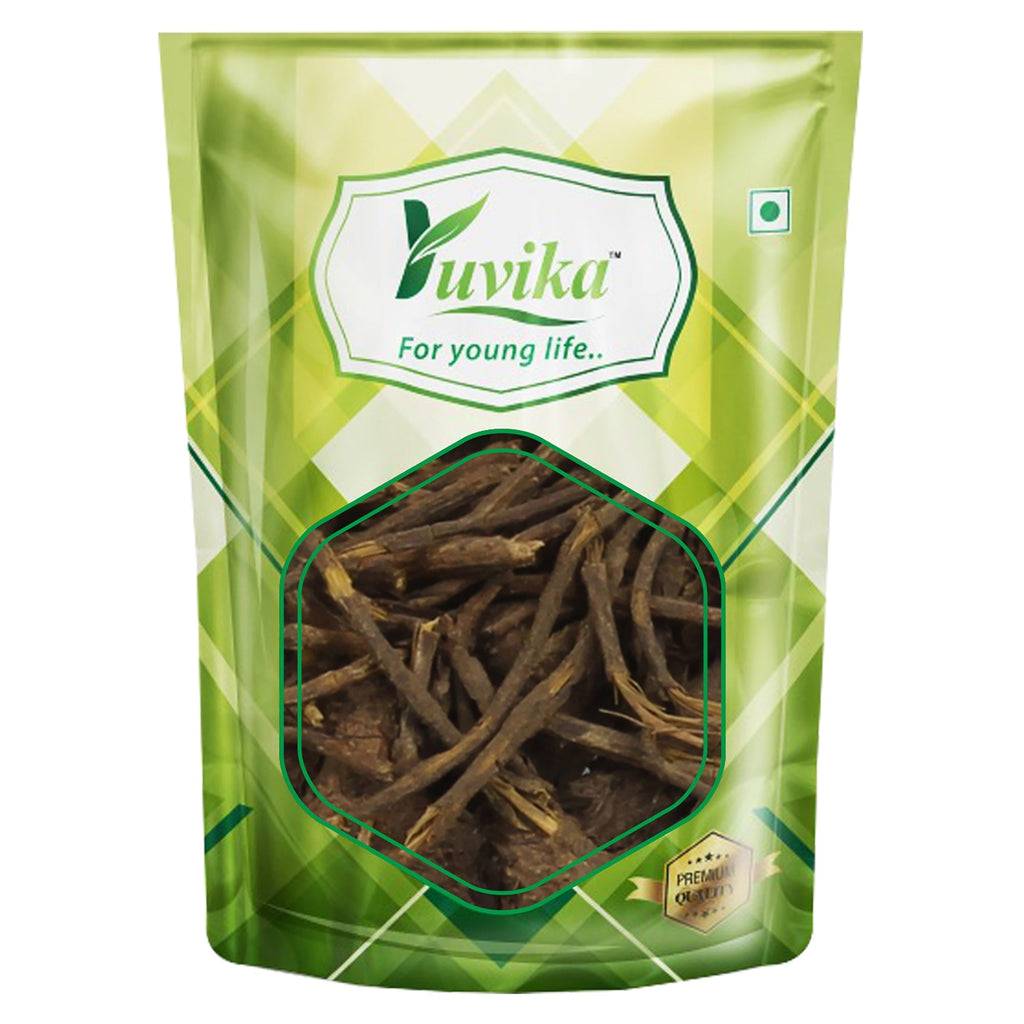 Yuvika Kiraita Root Pili Jadi Thalictrum Foliolosum