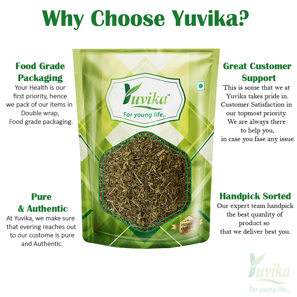 Yuvika Tulsi Patta - Ocimum Tenuiflorum - Basil Leaves