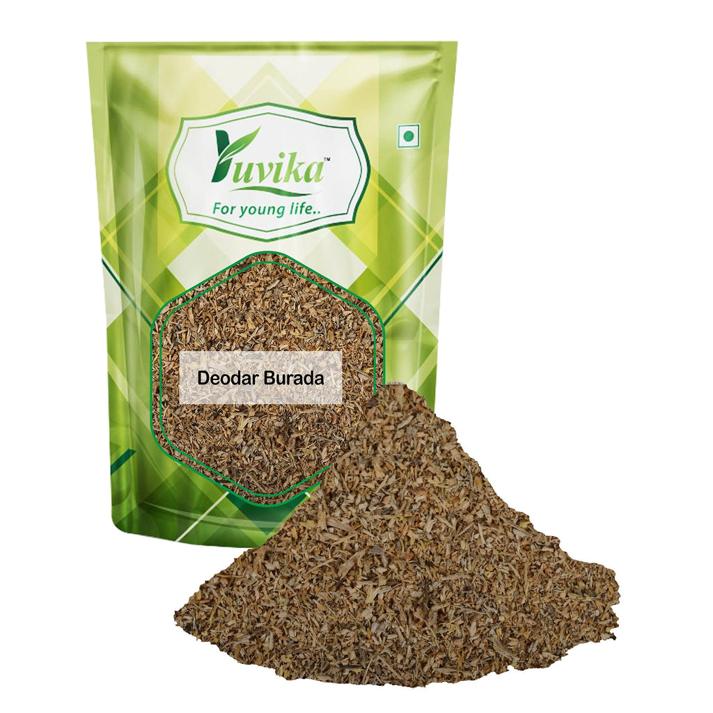 Yuvika Deodar Burada - Devdar Powder - Cedrus Deodara Roxb - Deodar Saw