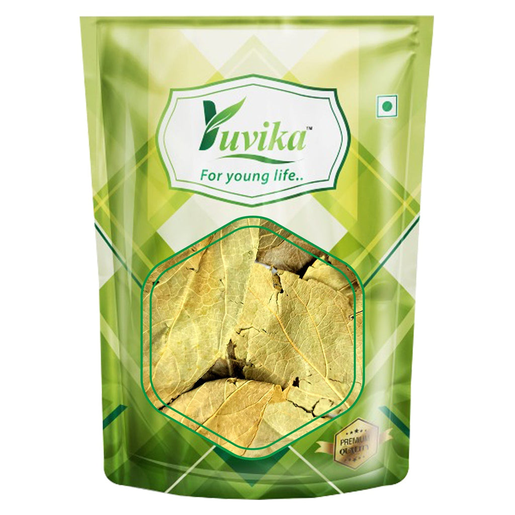 Yuvika Harshringar Patta Parijaat Leaves Nyctanthes Arbor Tristis Night Jasmine