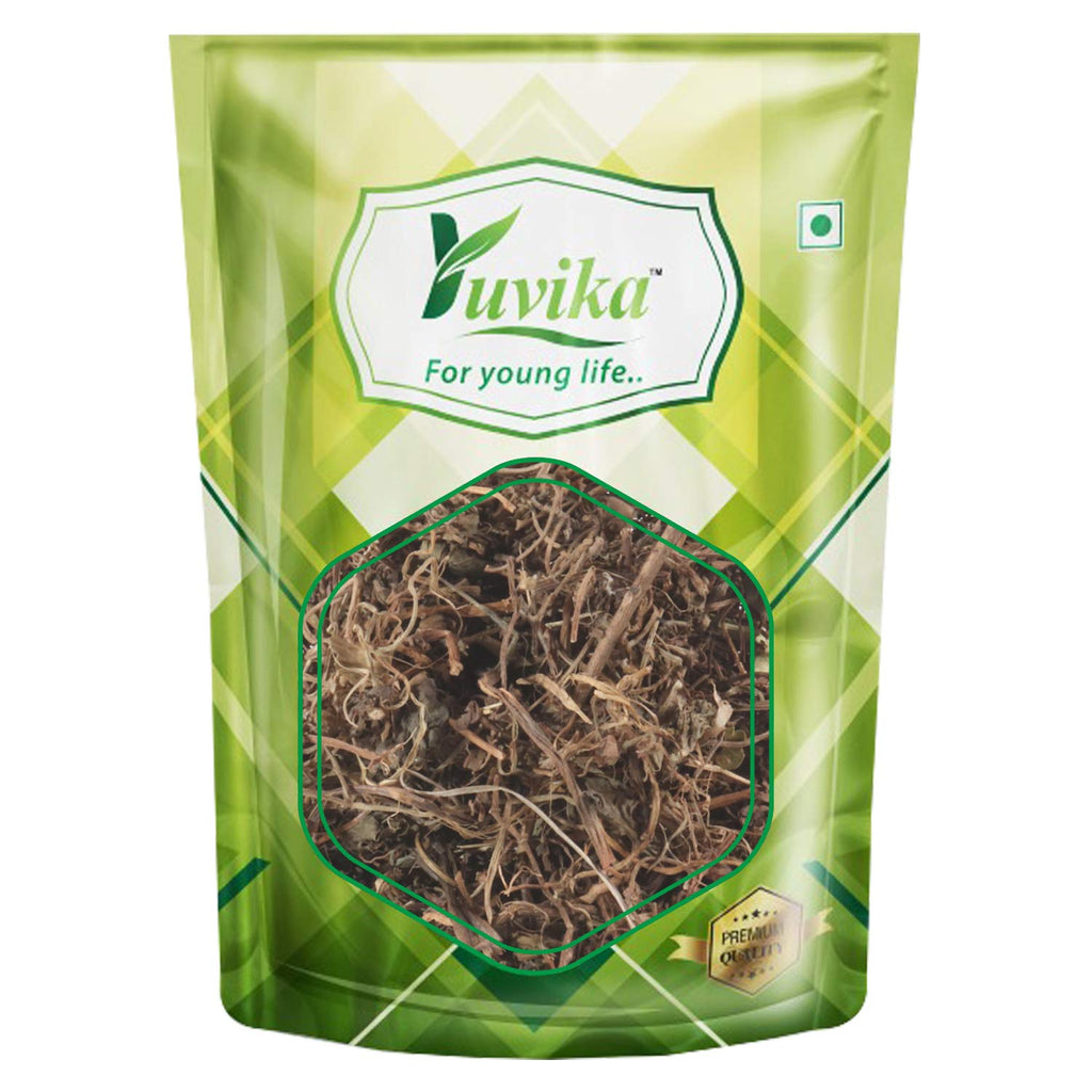 Yuvika Mandukparni Mandookparni Centella Asiatica