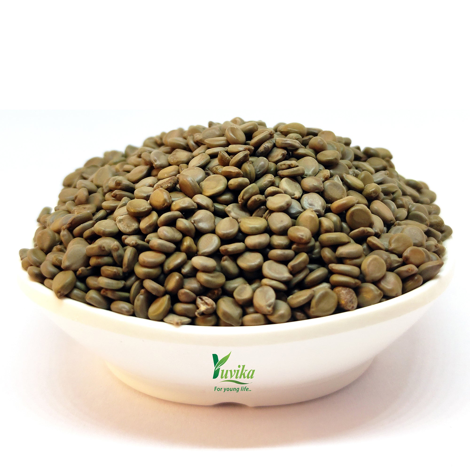 Yuvika Beej Kasondi - Kasundi - Kasamarda Cassia Occidentalis