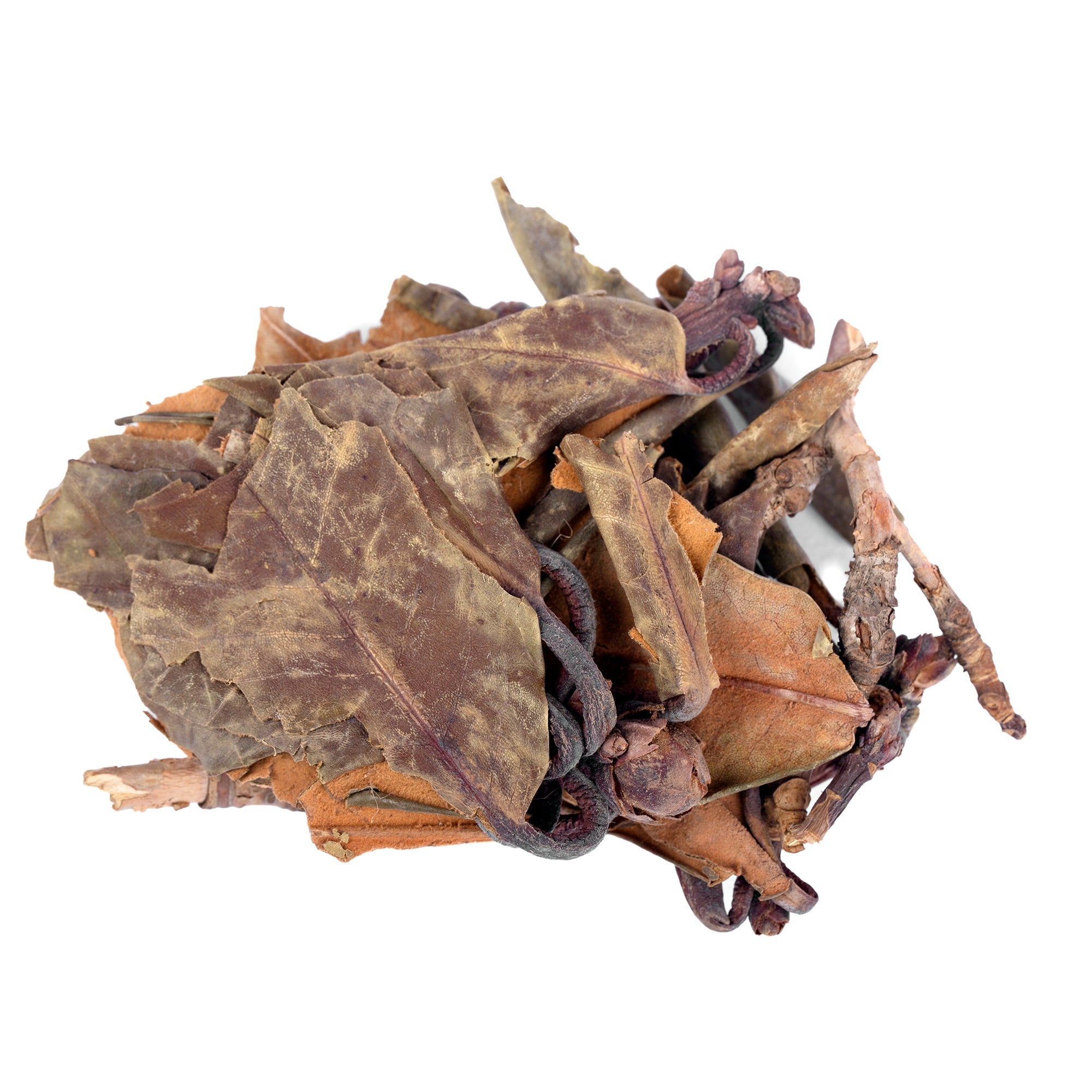 Yuvika Kashmiri Patta - Kashmere Leaves