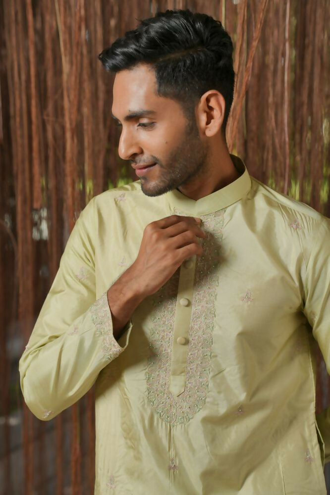 Olive Kanjivaram Machien Embroidered Pattu Set by Hilo Design