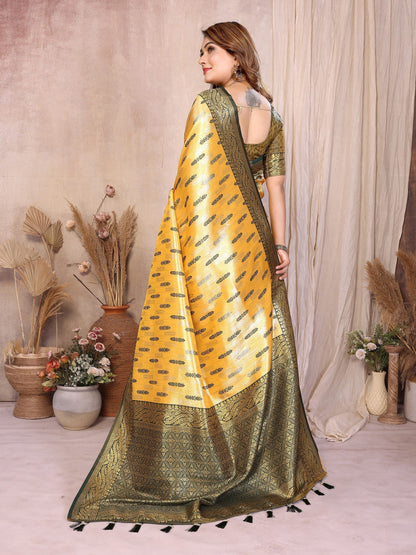 Anaita Banarasi Tissue Silk Saree