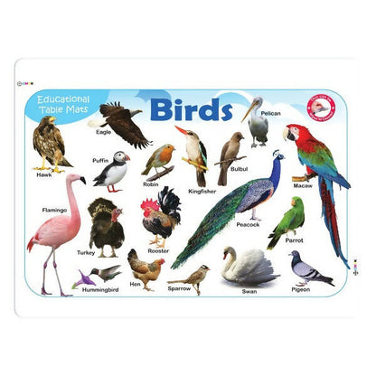 Jolly Kids Picture Learning Educational Table Mat for Kids Set of 8| Ages 2-6 Years| Laminated Picture learning Sheet