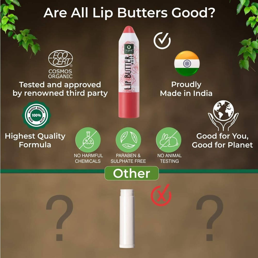 Organic Harvest Lip Butter (Rose) - 4 gms