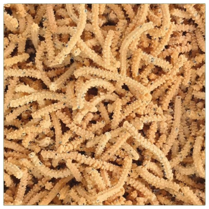 Cocoguru Murukku